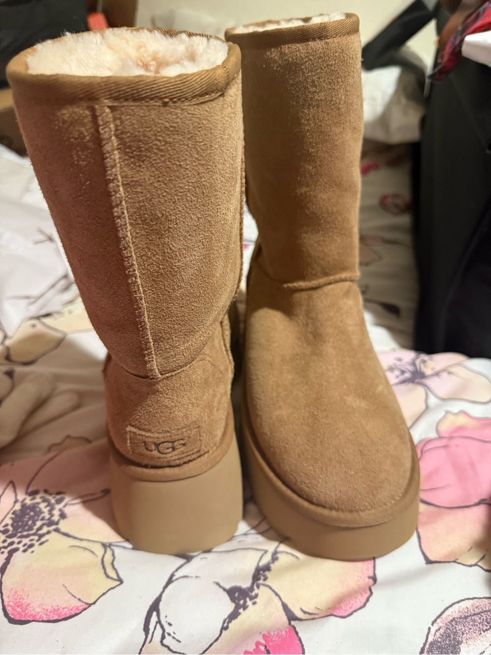 UGG Classic Short Boots in Chestnut Suede